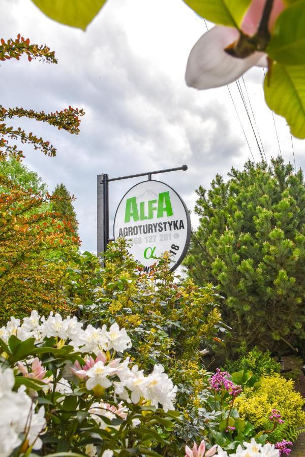 Agroturystyka Alfa Bystra  Εξωτερικό φωτογραφία